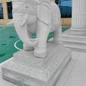 三门峡 白麻花岗岩动物异形石雕-大象