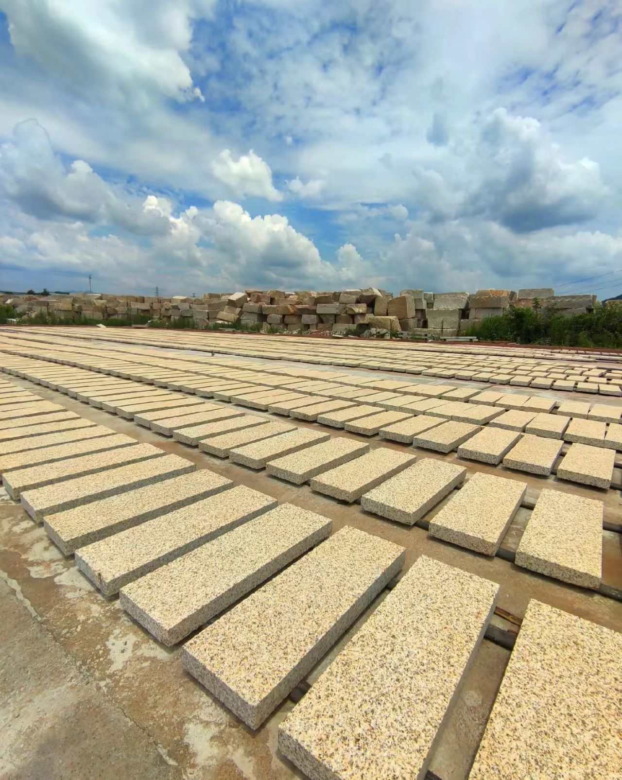 三门峡 黄金麻花岗岩荔枝面地铺石防护中